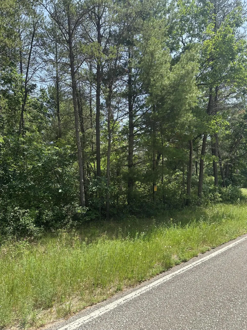S Broadway Street Idlewild, MI 49642