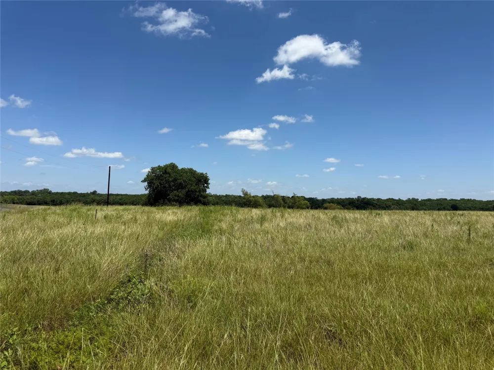 1 CR 3550 Honey Grove, TX 75446