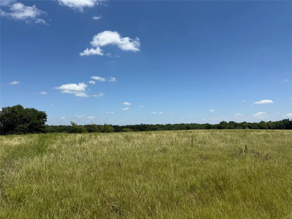 1 CR 3550 Honey Grove, TX 75446