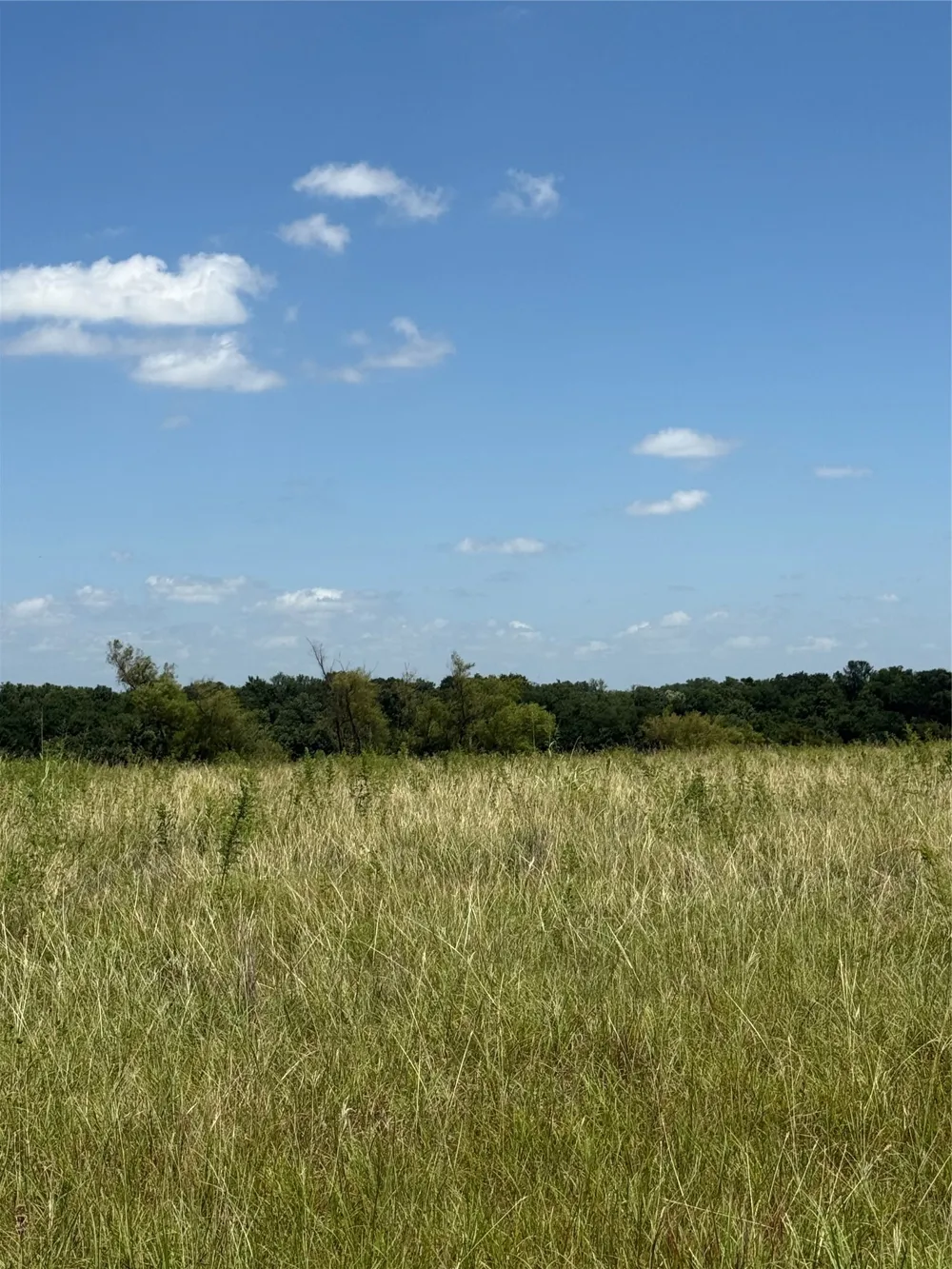 1 CR 3550 Honey Grove, TX 75446