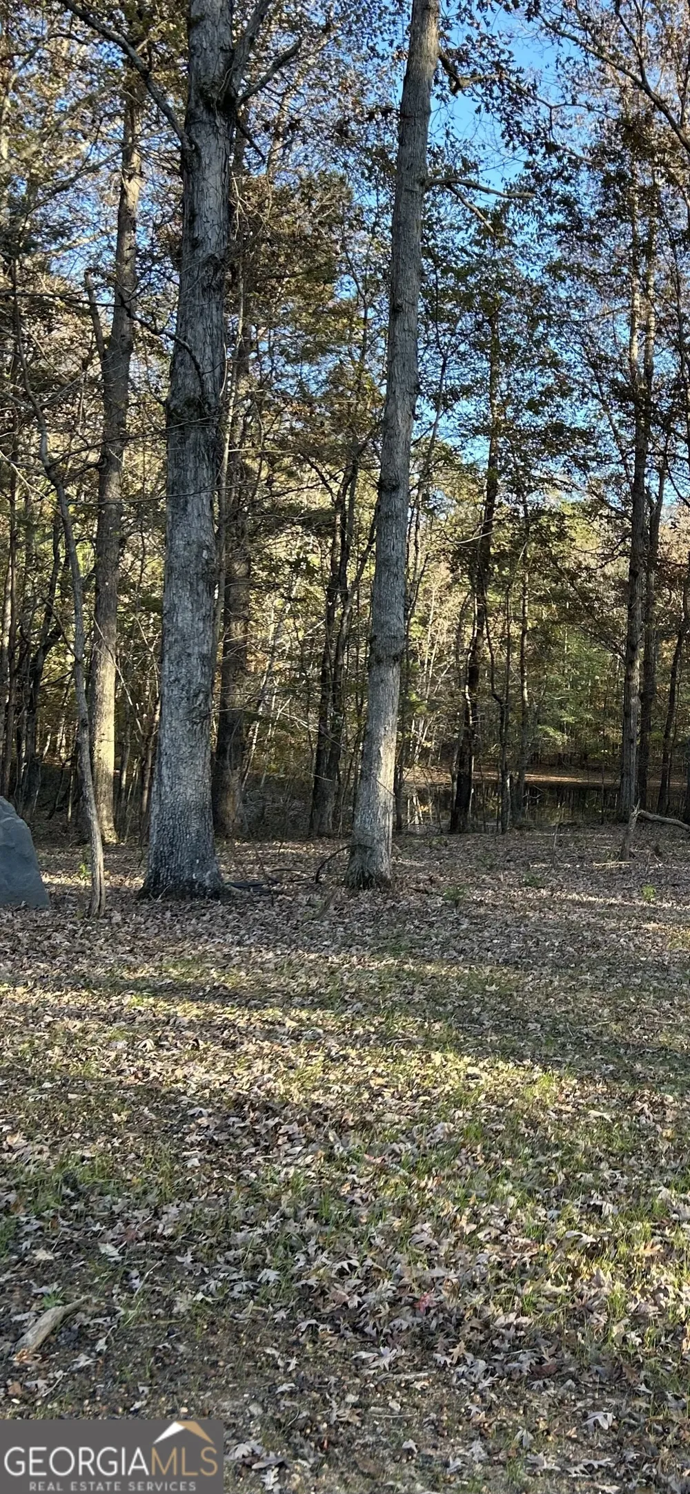 5962 Ga. Hwy. 109 Molena, GA 30258