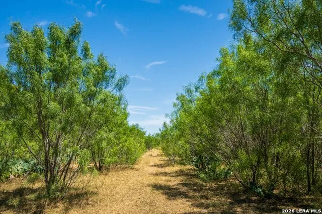 CR 732 Cr732 Yancey, TX 78886