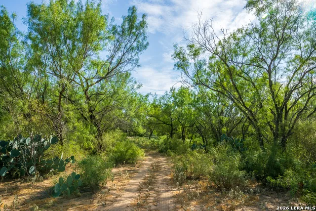 CR 732 Cr732 Yancey, TX 78886