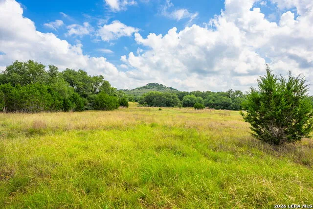 147 Gray Wolf Blanco, TX 78606