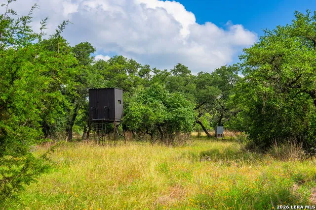 147 Gray Wolf Blanco, TX 78606
