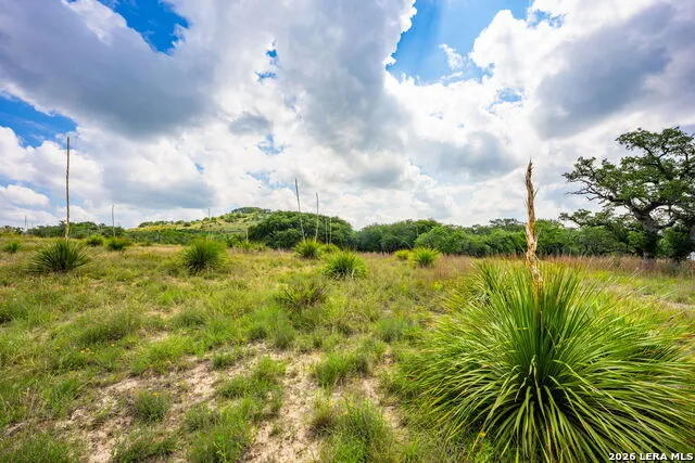 147 Gray Wolf Blanco, TX 78606