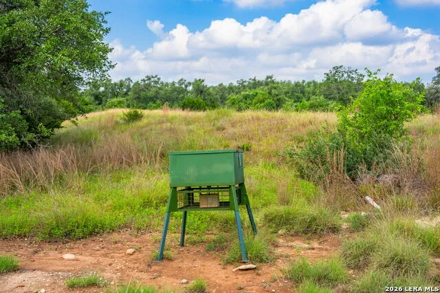 147 Gray Wolf Blanco, TX 78606