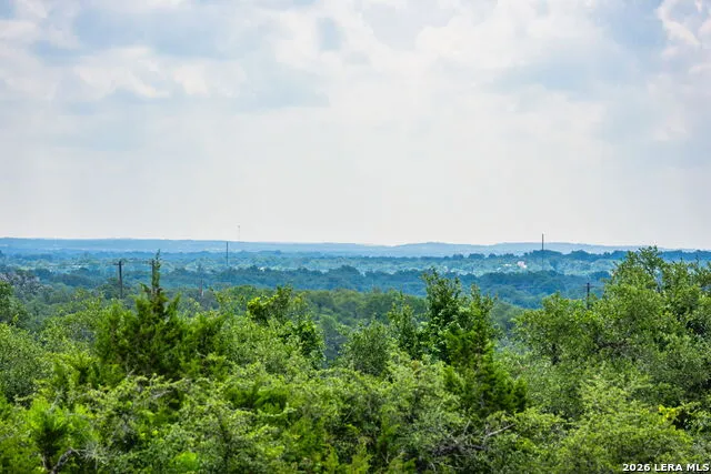147 Gray Wolf Blanco, TX 78606