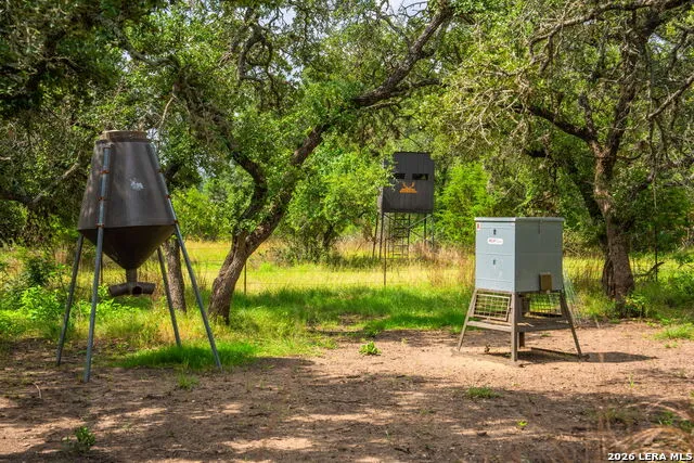 147 Gray Wolf Blanco, TX 78606
