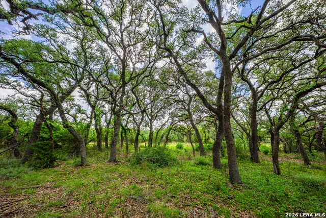 147 Gray Wolf Blanco, TX 78606