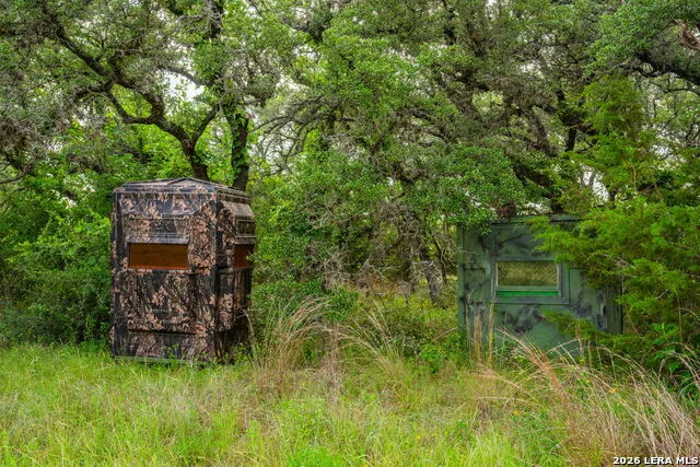 147 Gray Wolf Blanco, TX 78606