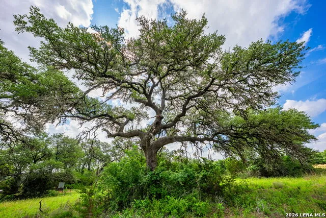 147 Gray Wolf Blanco, TX 78606