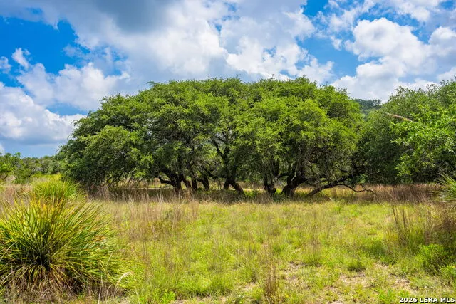 147 Gray Wolf Blanco, TX 78606