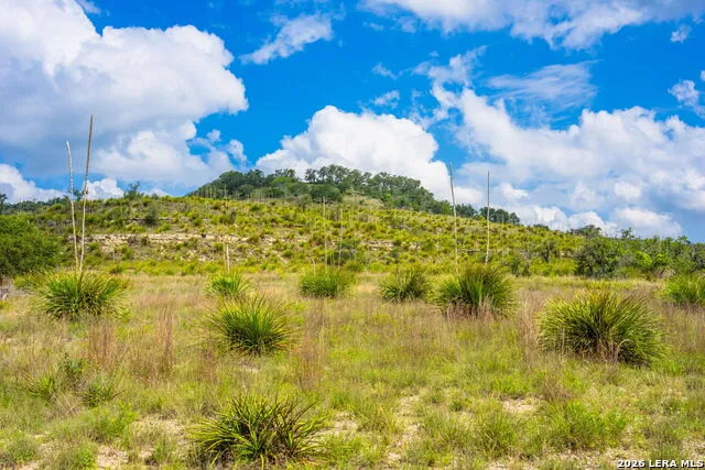 147 Gray Wolf Blanco, TX 78606