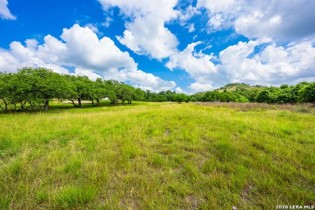 147 Gray Wolf Blanco, TX 78606