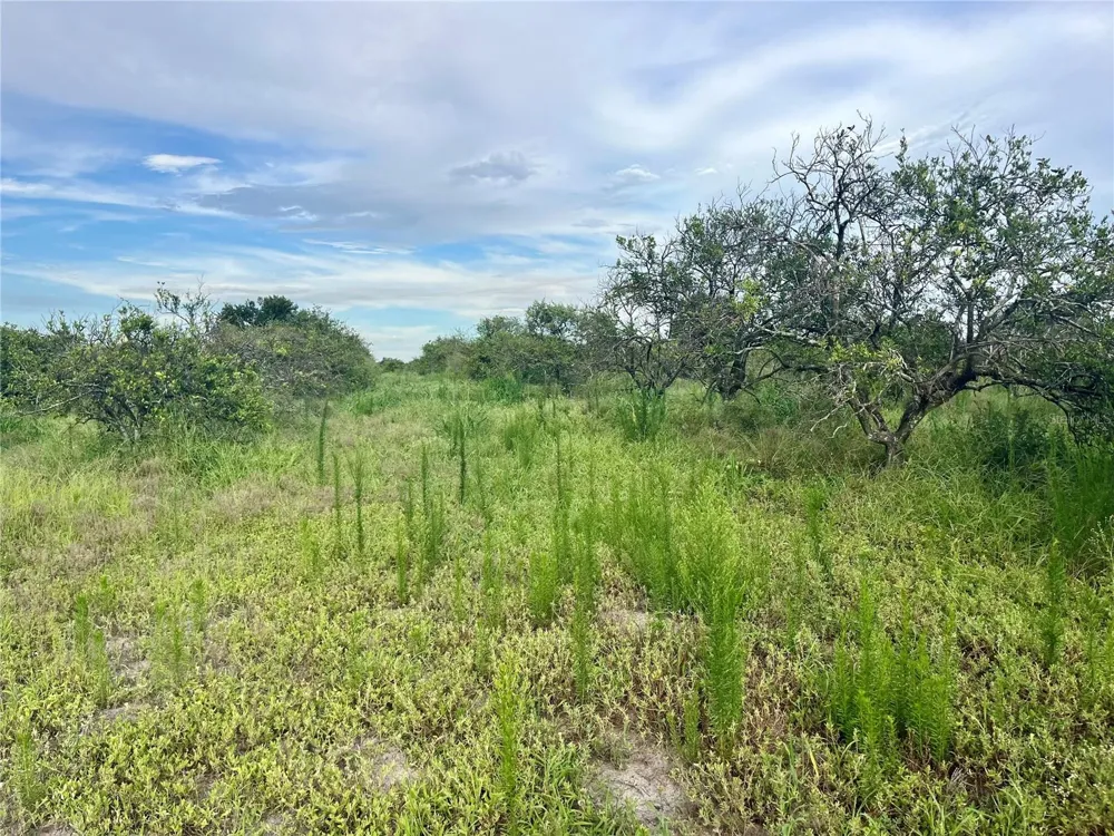 HAYMAN ROAD Wauchula, FL 33873