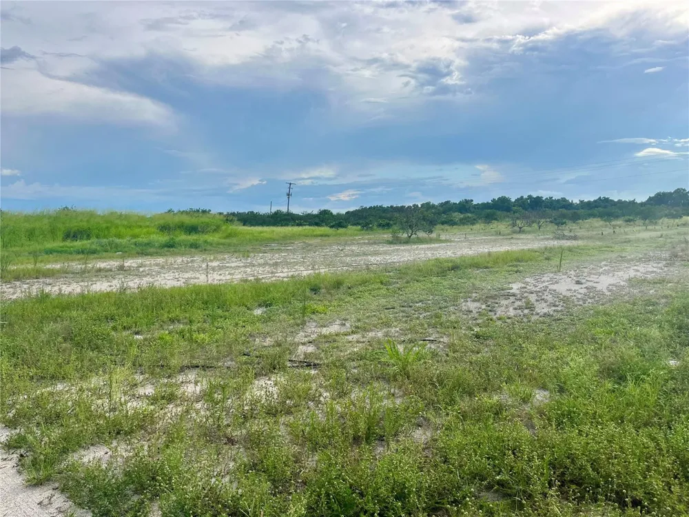 HAYMAN ROAD Wauchula, FL 33873