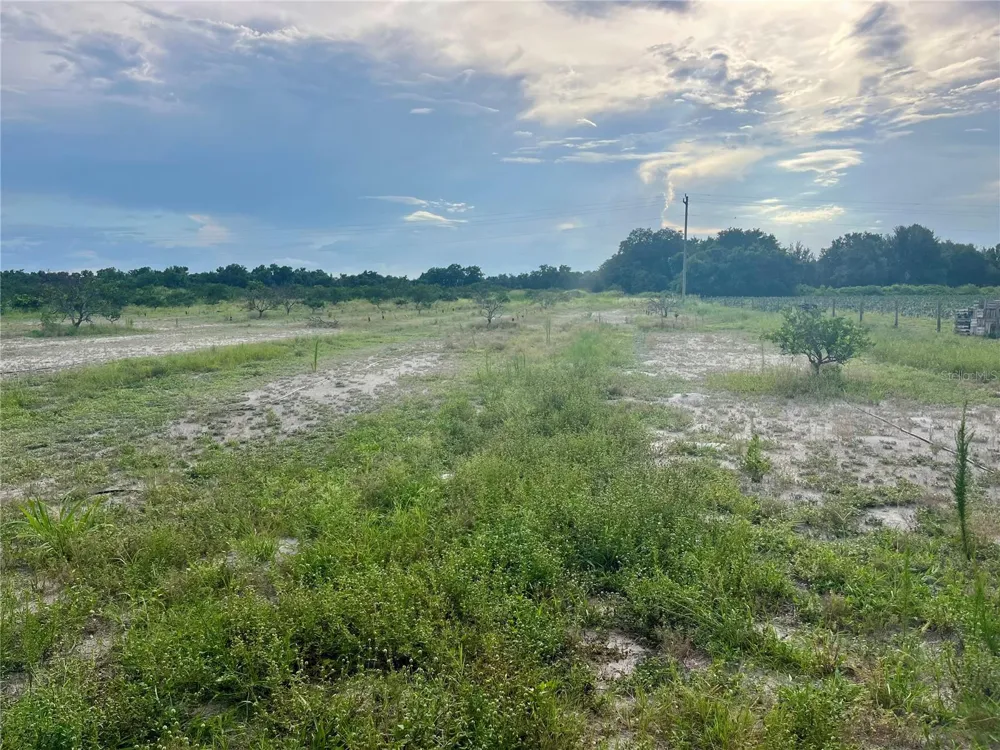 HAYMAN ROAD Wauchula, FL 33873
