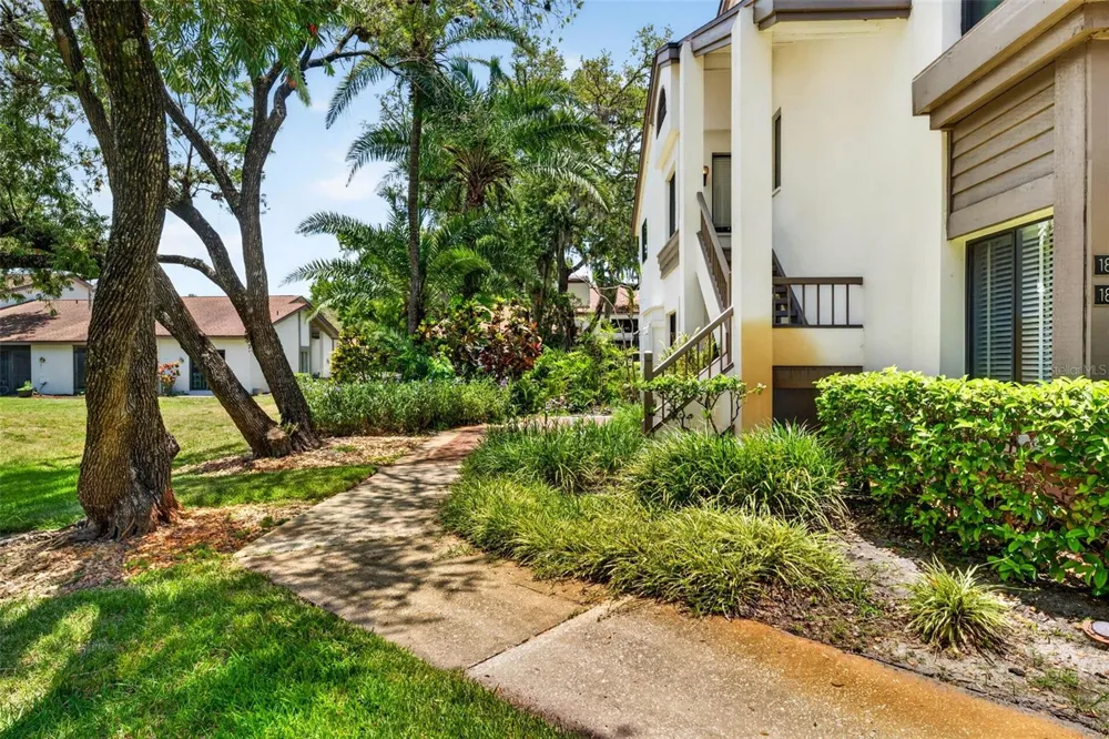 1846 LAKE CYPRESS DRIVE #1846 Safety Harbor, FL 34695
