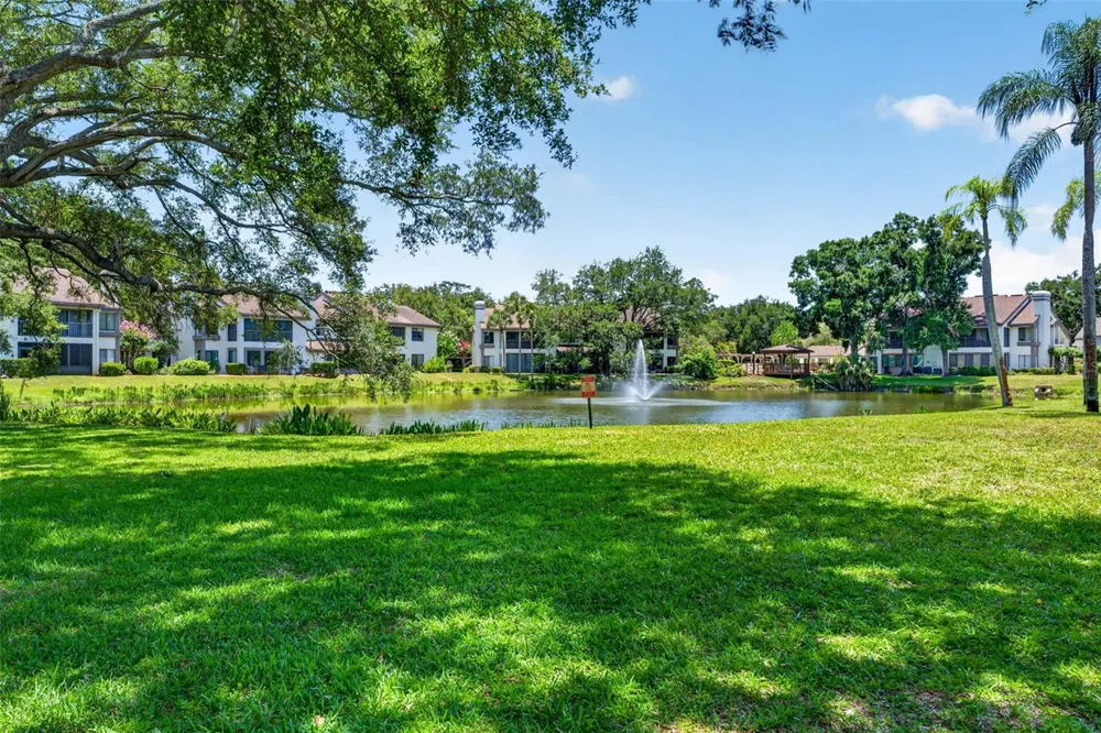 1846 LAKE CYPRESS DRIVE #1846 Safety Harbor, FL 34695