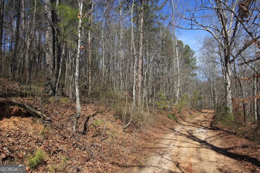0 Stone Mtn ST Tallapoosa, GA 30176