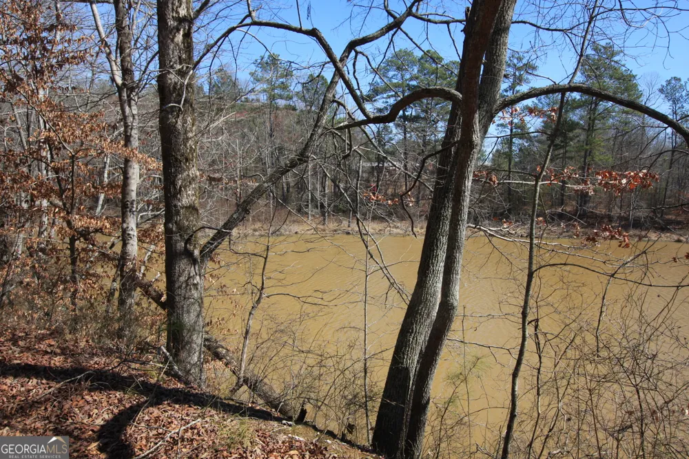 0 Stone Mtn ST Tallapoosa, GA 30176