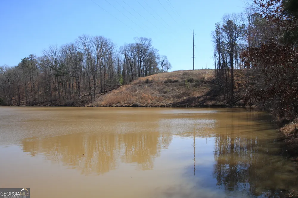 0 Stone Mtn ST Tallapoosa, GA 30176