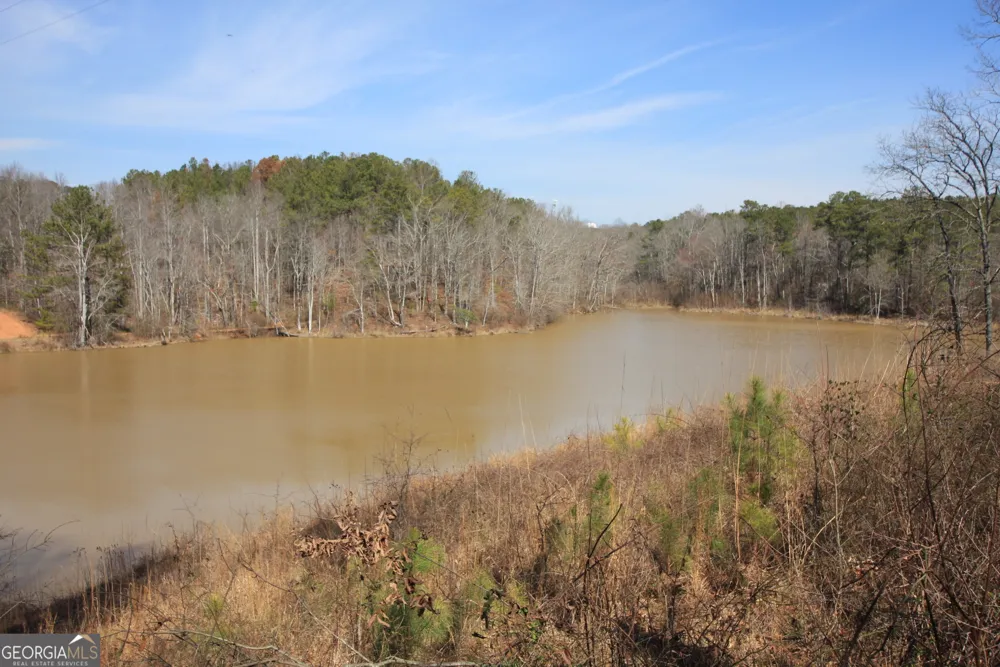 0 Stone Mtn ST Tallapoosa, GA 30176