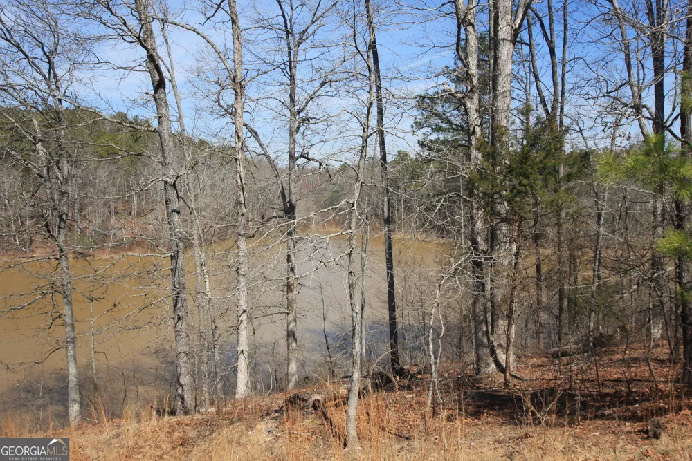 0 Stone Mtn ST Tallapoosa, GA 30176