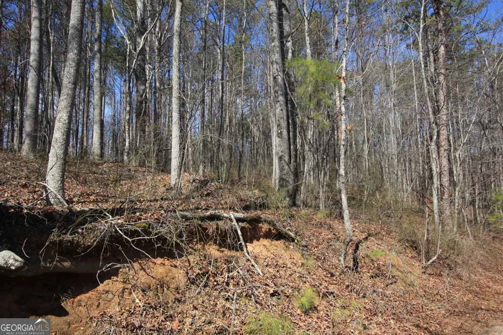 0 Stone Mtn ST Tallapoosa, GA 30176