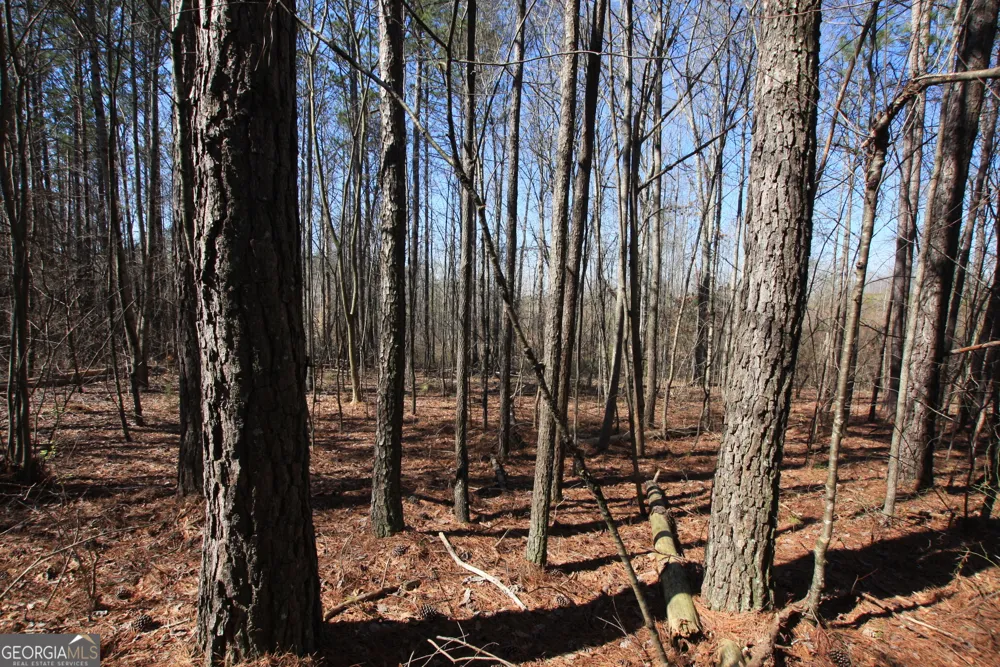 0 Highway 100 Tallapoosa, GA 30176