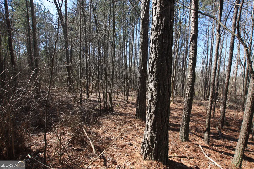 0 Highway 100 Tallapoosa, GA 30176