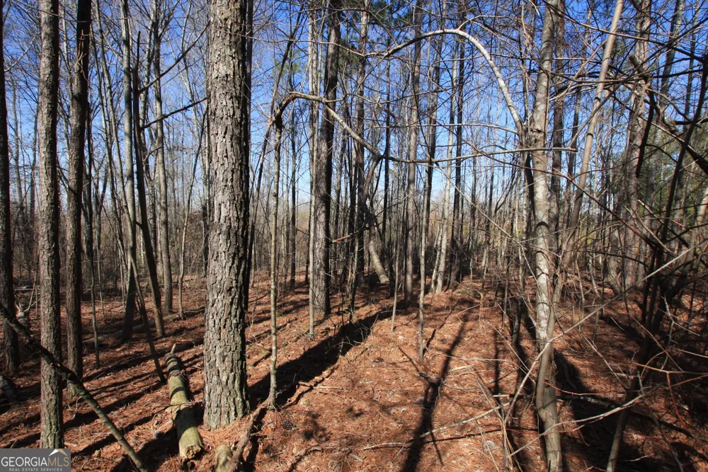 0 Highway 100 Tallapoosa, GA 30176