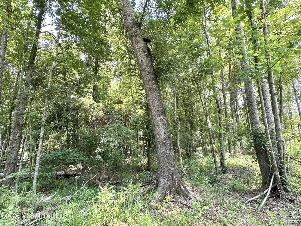 1 Highway 35 Carthage, MS 39051