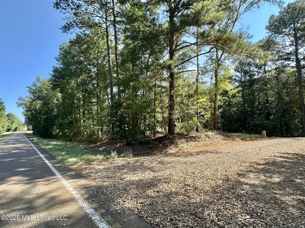 1 Highway 35 Carthage, MS 39051