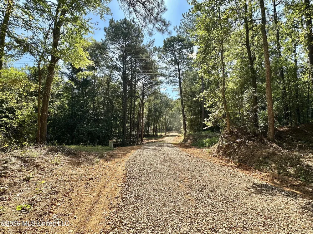 1 Highway 35 Carthage, MS 39051
