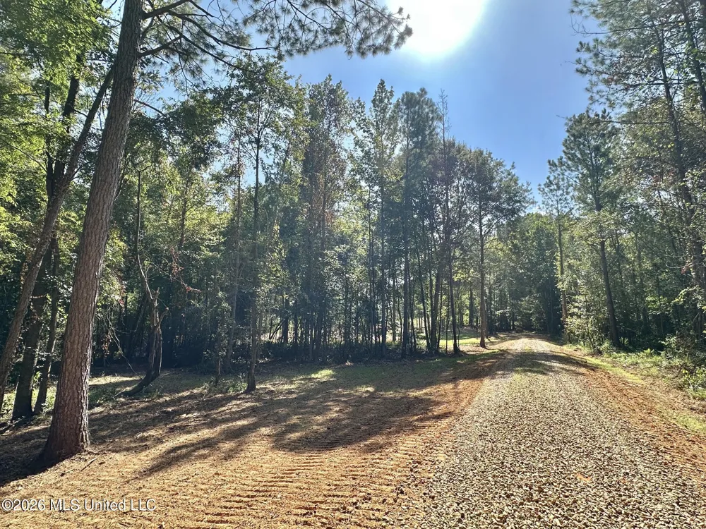 1 Highway 35 Carthage, MS 39051