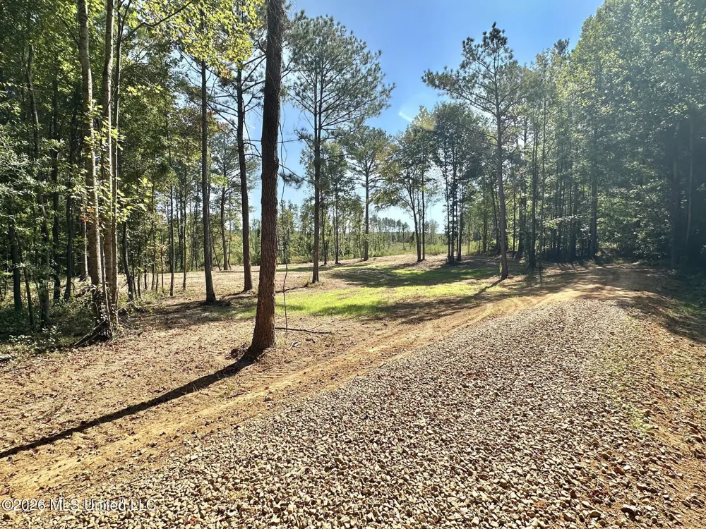 1 Highway 35 Carthage, MS 39051