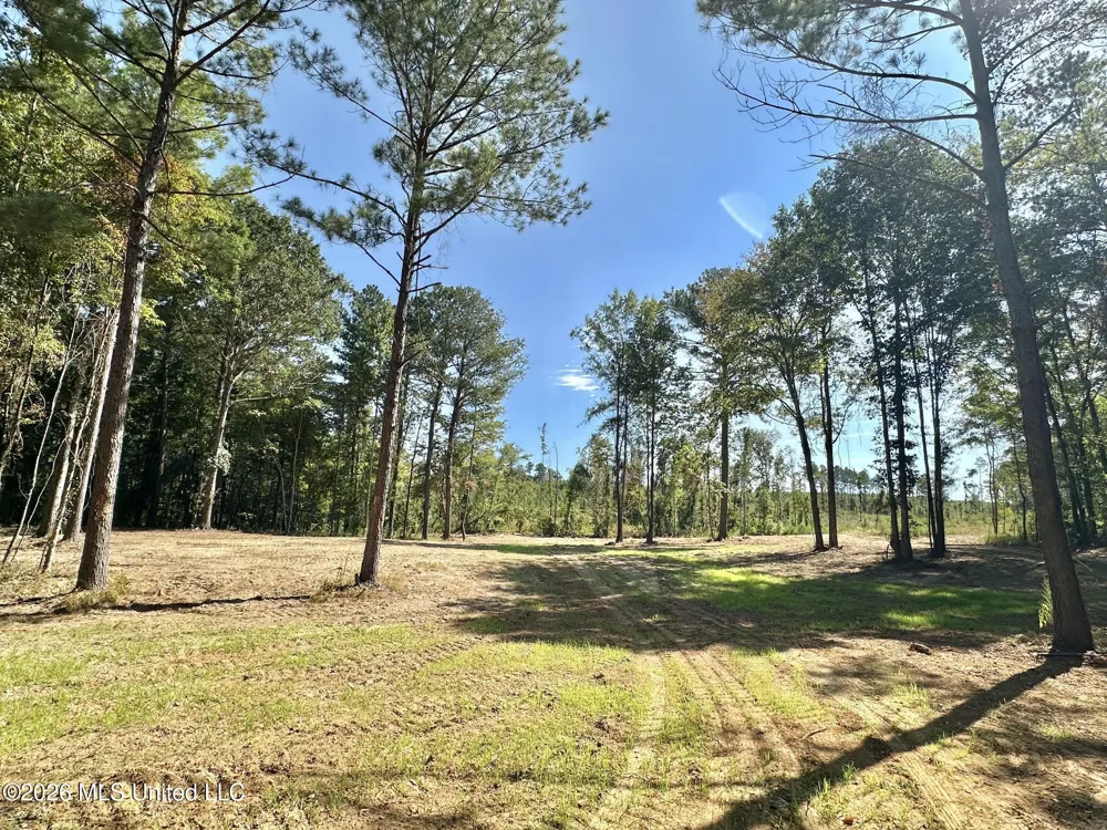 1 Highway 35 Carthage, MS 39051
