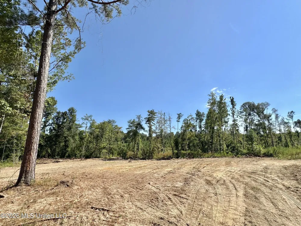1 Highway 35 Carthage, MS 39051