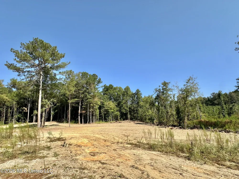 1 Highway 35 Carthage, MS 39051