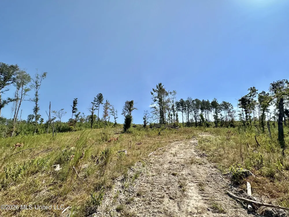 1 Highway 35 Carthage, MS 39051