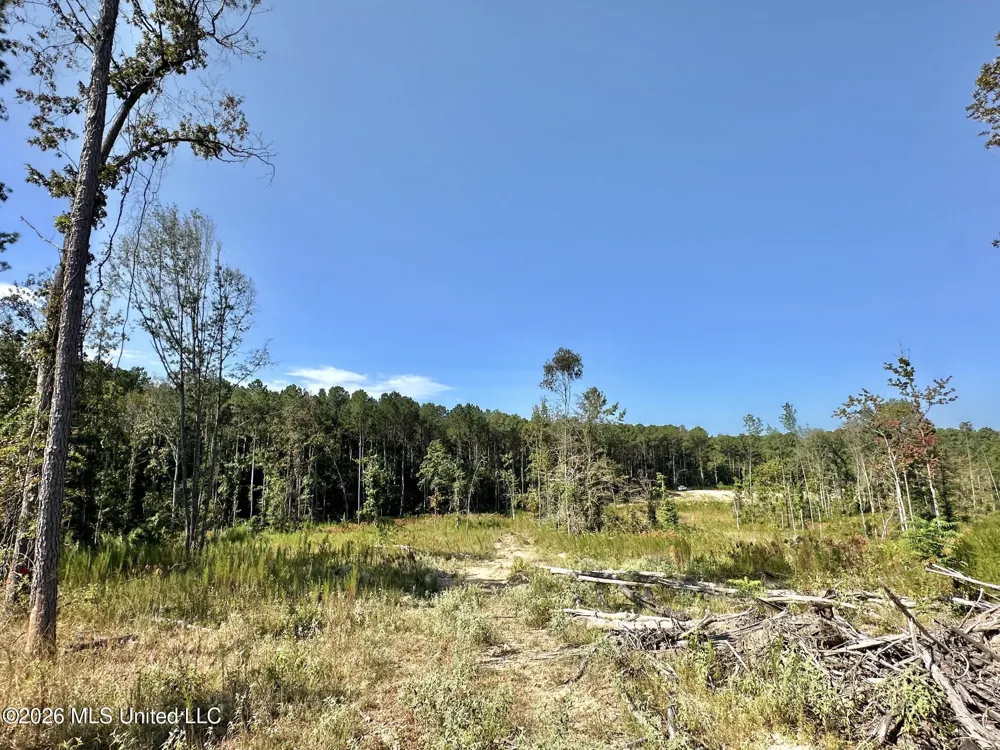 1 Highway 35 Carthage, MS 39051