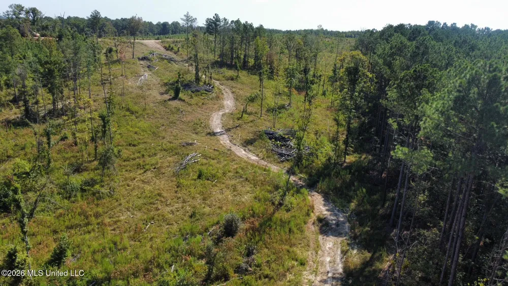 1 Highway 35 Carthage, MS 39051