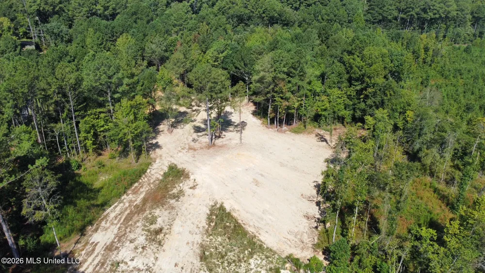 1 Highway 35 Carthage, MS 39051