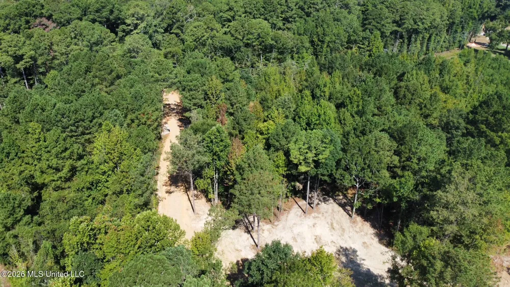 1 Highway 35 Carthage, MS 39051