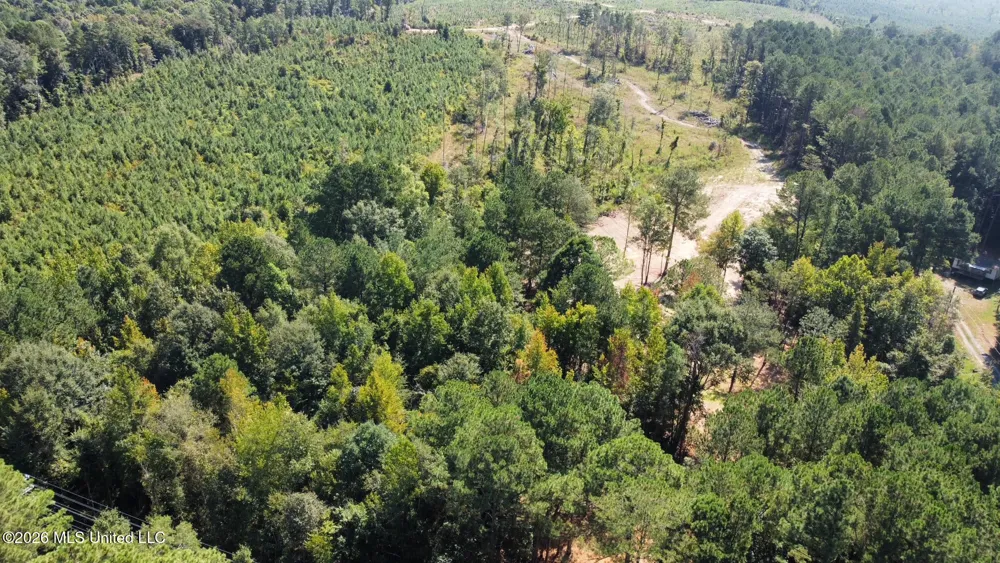 1 Highway 35 Carthage, MS 39051