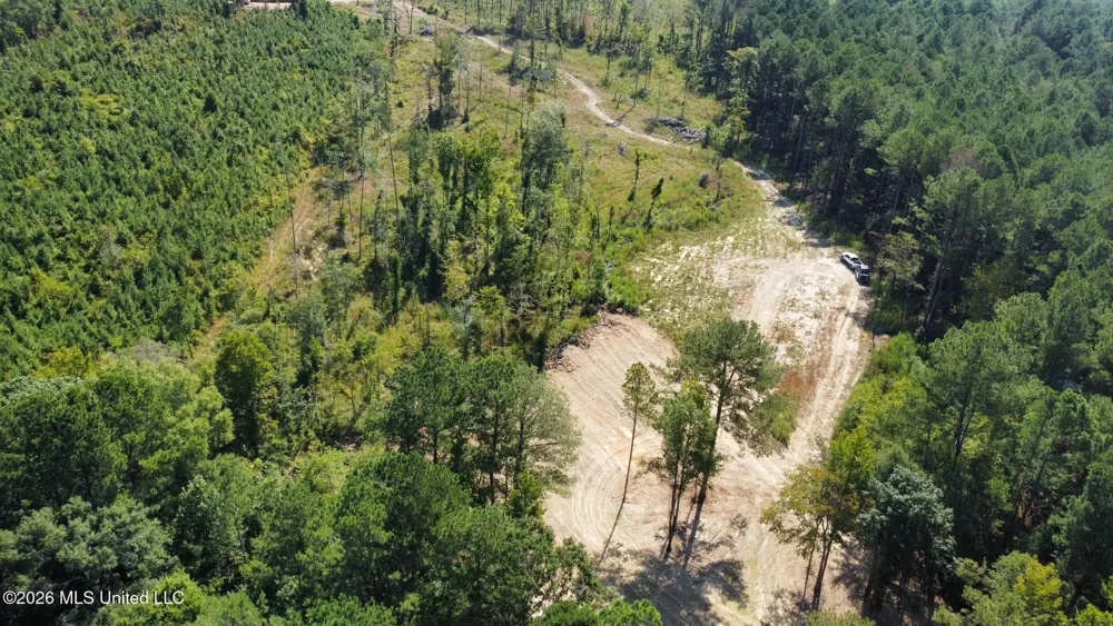 1 Highway 35 Carthage, MS 39051