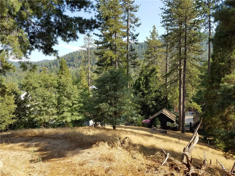 24093 Zurich Drive Crestline, CA 92325