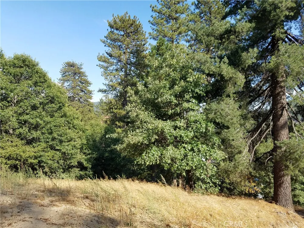 24093 Zurich Drive Crestline, CA 92325